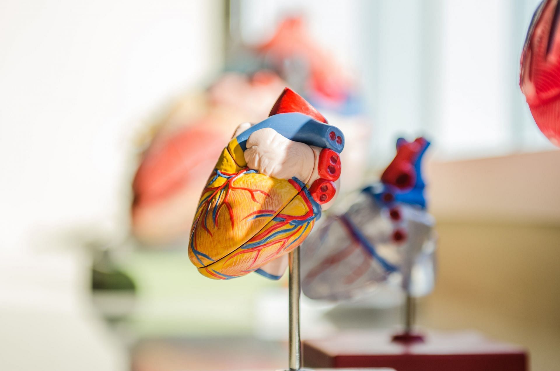 Cardiovascular attacks can be prevented with early diagnosis. (Image via Unsplash/Jesse Orrico)